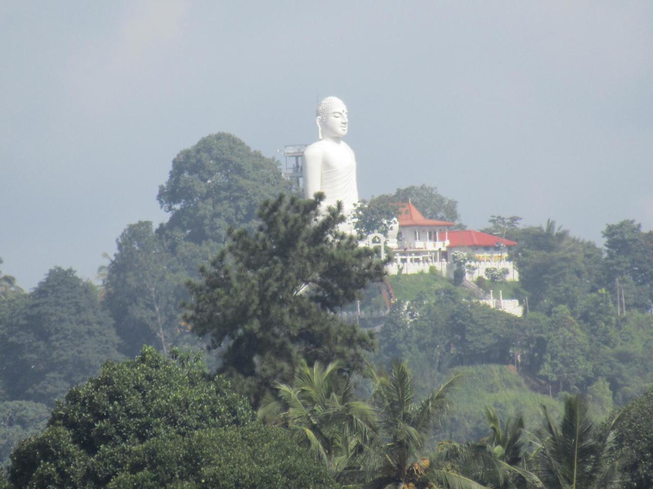Kandy Backpackers Hostel Экстерьер фото