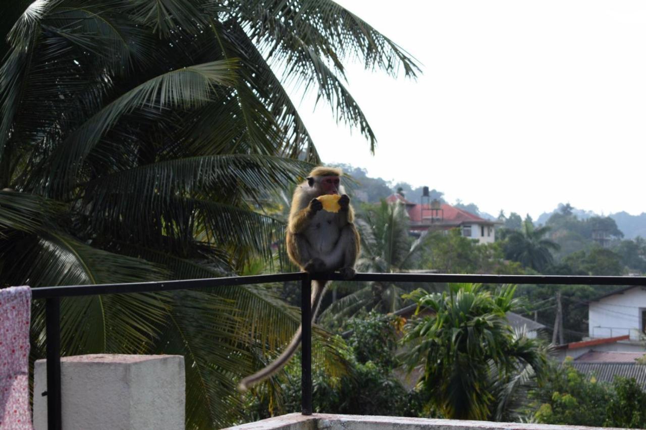 Kandy Backpackers Hostel Экстерьер фото