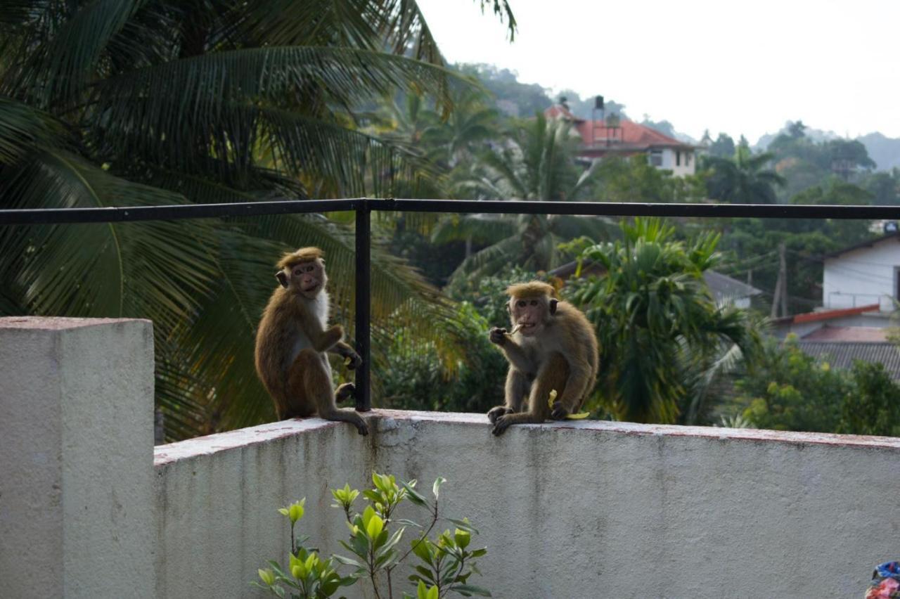 Kandy Backpackers Hostel Экстерьер фото