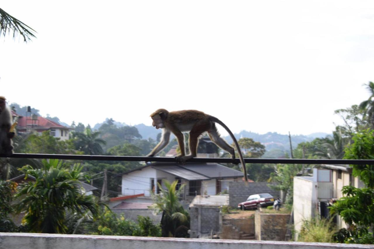 Kandy Backpackers Hostel Экстерьер фото